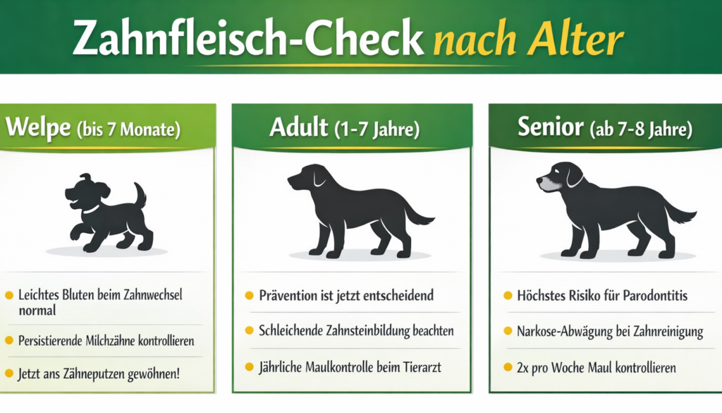Infografik: Zahnfleisch-Check nach Alter