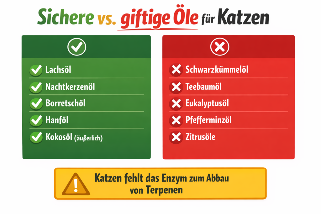 Öl Katze giftig - sichere und gefährliche Öle für Katzen Übersicht