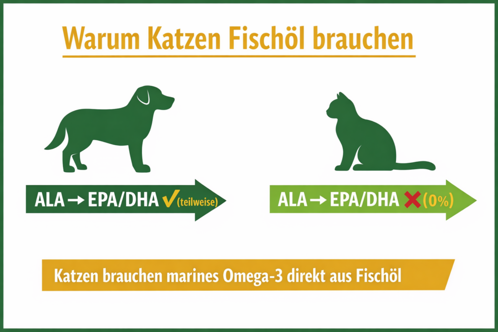 Öl Katze - Fettsäurestoffwechsel Katze vs. Hund Vergleich