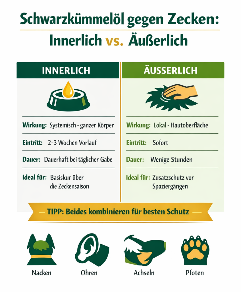 Infografik Schwarzkümmelöl Innerlich vs. Äußerlich 