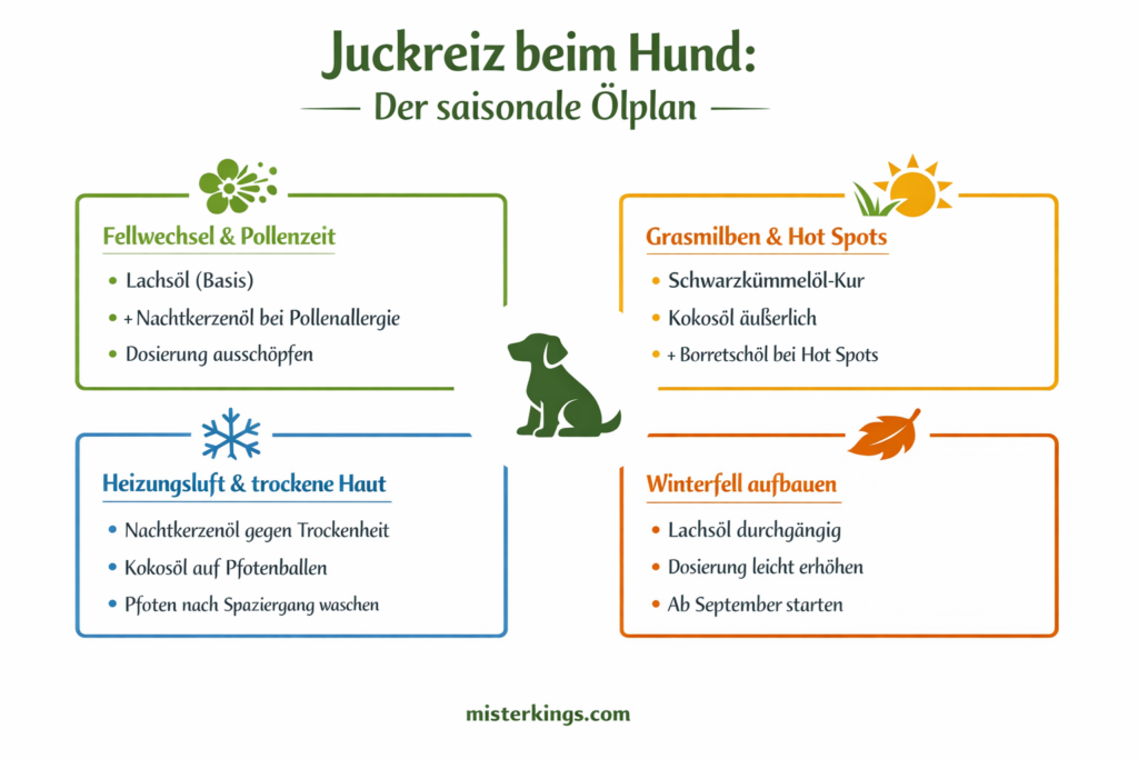 Öl für Hunde bei Juckreiz - saisonaler Ölplan durchs ganze Jahr