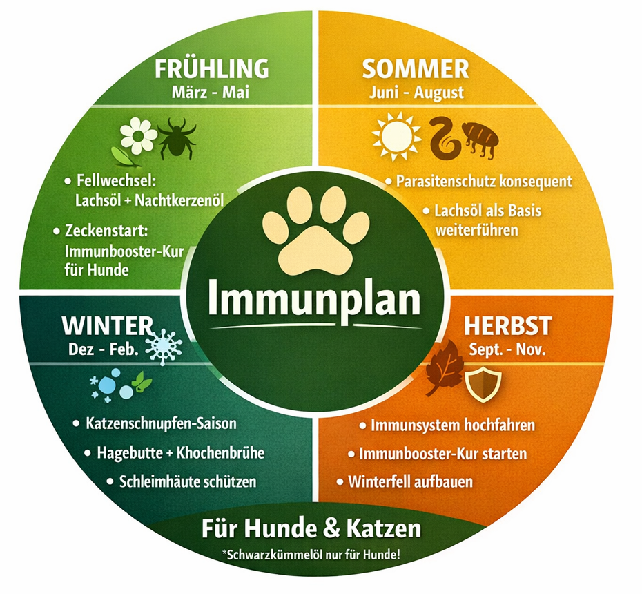 Infografik: Jahresplan des Immunsystems für Hunde und Katzen