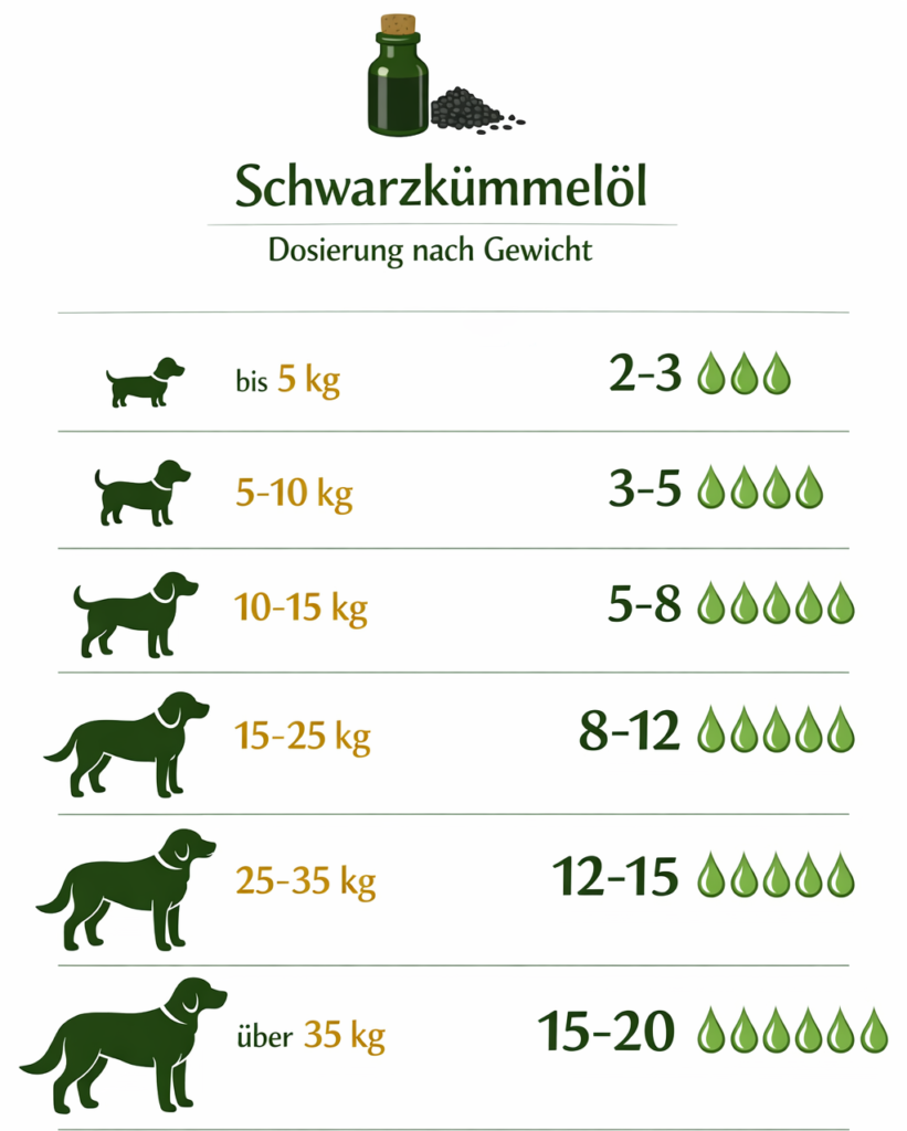 Infografik: Schwarzkümmelöl Hund Dosierung nach Gewicht