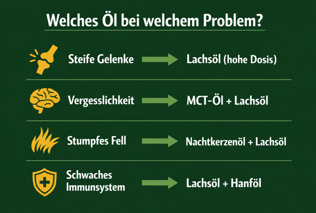 Infografik: Welches Öl bei alten Hunden