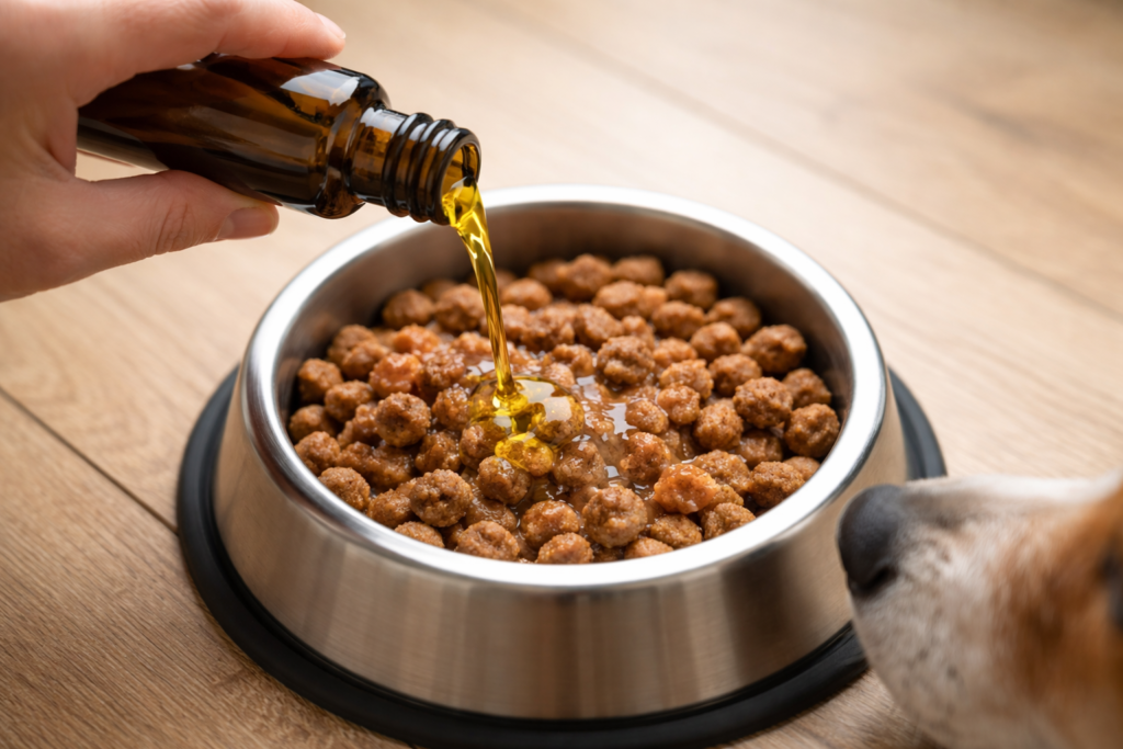 Lachsöl Hund Juckreiz Dosierung – Öl über Hundenapf