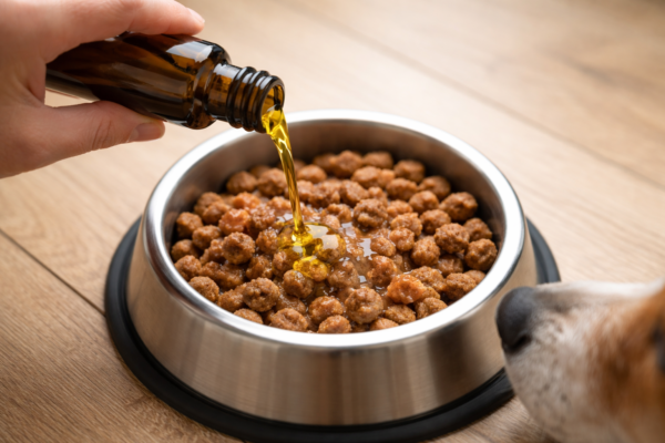Leinöl auf Hundefutter