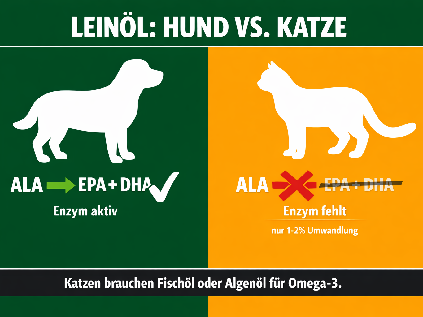 INFOGRAFIK: Fettsäure-Umwandlung bei Katzen vs. Hunde