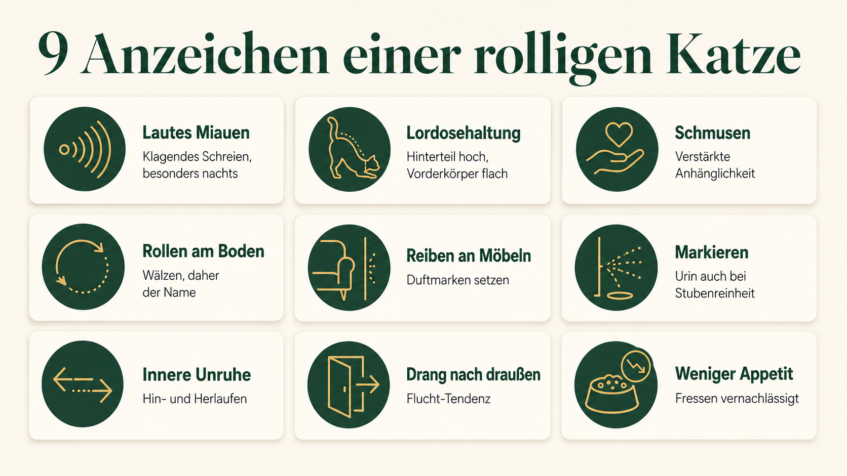 Infografik mit 9 Symptomen einer rolligen Katze: lautes Miauen, Lordosehaltung, Schmusen, Rollen, Reiben, Markieren, Unruhe, Drang nach draußen, Appetitverlust
