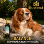 Glücklicher Hund entspannt im Sonnenlicht neben einer Flasche BALANCE – MisterKings Naturöl für Hunde.