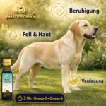 Gesunder Hund mit glänzendem Fell – BALANCE für Ruhe und innere Balance.
