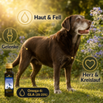 Gesunder Hund mit glänzendem Fell – Borretschöl für Haut und Gelenke.