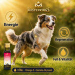 Gesunder Hund mit glänzendem Fell – ENERGIZE für Energie und Vitalität.