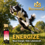 Glücklicher Hund voller Energie beim Spielen neben einer Flasche ENERGIZE – MisterKings Naturöl für Hunde und Katzen.