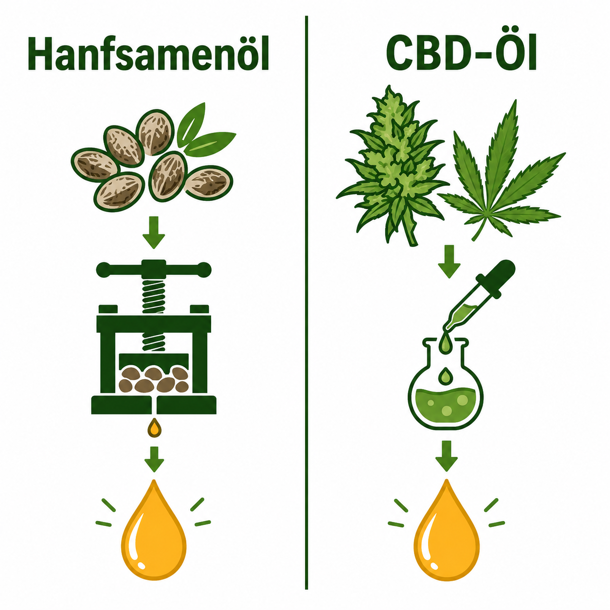Unterschied Hanfsamenöl und CBD-Öl für Katzen im Vergleich