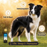 Gesunder Hund mit glänzendem Fell – IMMUNBOOSTER für ein starkes Immunsystem.