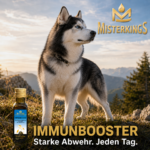 Glücklicher Hund stark am Berg neben einer Flasche IMMUNBOOSTER – MisterKings Naturöl für Hunde.
