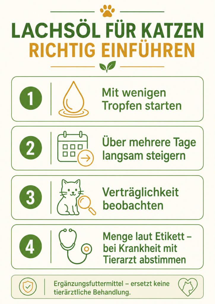 Infografik mit Schritten zur langsamen Einführung von Lachsöl bei Katzen: mit wenigen Tropfen starten, über mehrere Tage steigern, Verträglichkeit beobachten, Menge laut Produktetikett und mit der Tierarztpraxis abstimmen.