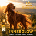 Glücklicher Hund mit strahlendem Fell neben einer Flasche INNERGLOW – MisterKings Naturöl für Hunde und Katzen.