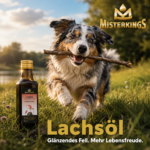 Glücklicher Hund mit glänzendem Fell im Garten neben einer Flasche Lachsöl – MisterKings Naturöl für Hunde und Katzen.