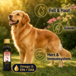 Gesunder Hund mit glänzendem Fell – Lachsöl Omega-3 für glänzendes Fell und gesunde Gelenke.