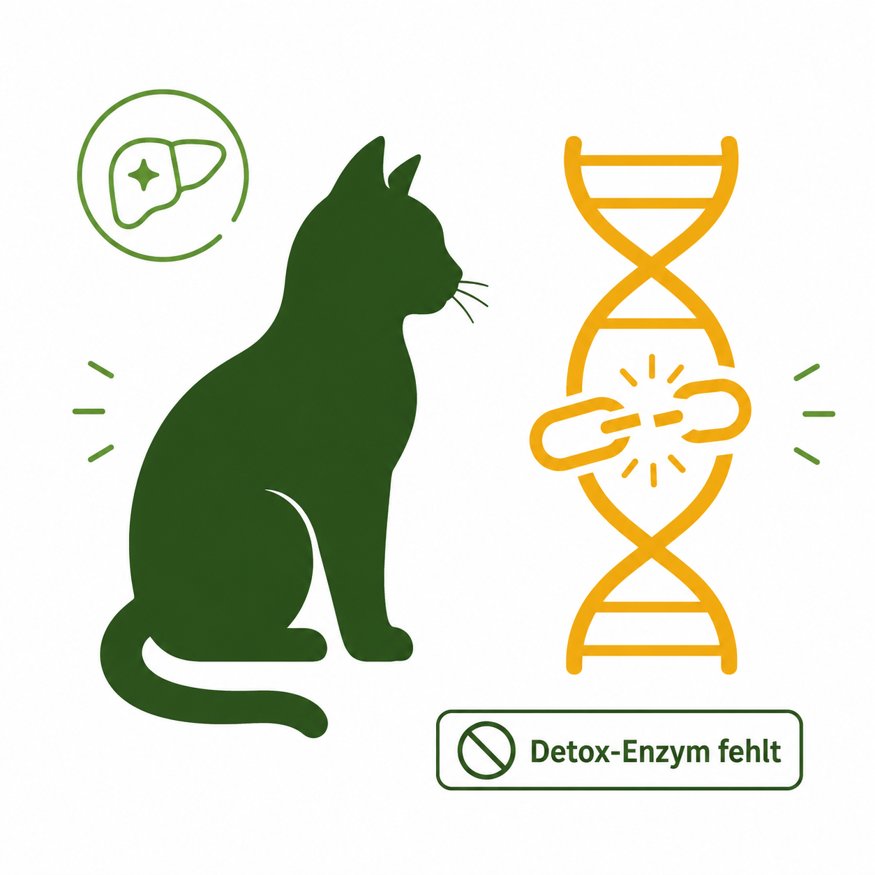 Mariendistelöl Katze - defektes UGT1A6-Gen, Katzen fehlt das Entgiftungsenzym