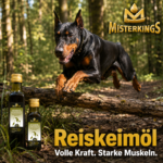 Glücklicher Hund athletisch im Wald neben einer Flasche Reiskeimöl – MisterKings Naturöl für Hunde und Katzen.