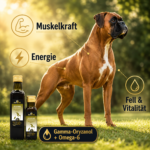 Gesunder Hund mit glänzendem Fell – Reiskeimöl für Muskeln und Vitalität.