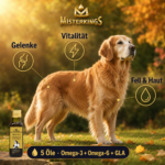 Gesunder Hund mit glänzendem Fell – SENIOR GOLD für Senioren – Gelenke und Vitalität.
