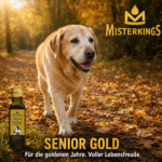 Glücklicher Hund als Senior im Herbstlaub neben einer Flasche SENIOR GOLD – MisterKings Naturöl für Hunde und Katzen.