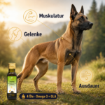 Gesunder Hund mit glänzendem Fell – SPORTIVE für Muskeln und Energie.