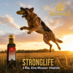 Glücklicher Hund aktiv im goldenen Feld neben einer Flasche STRONGLIFE – MisterKings Naturöl für Hunde.