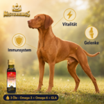 Gesunder Hund mit glänzendem Fell – STRONGLIFE 6 Öle für Vitalität und Immunsystem.